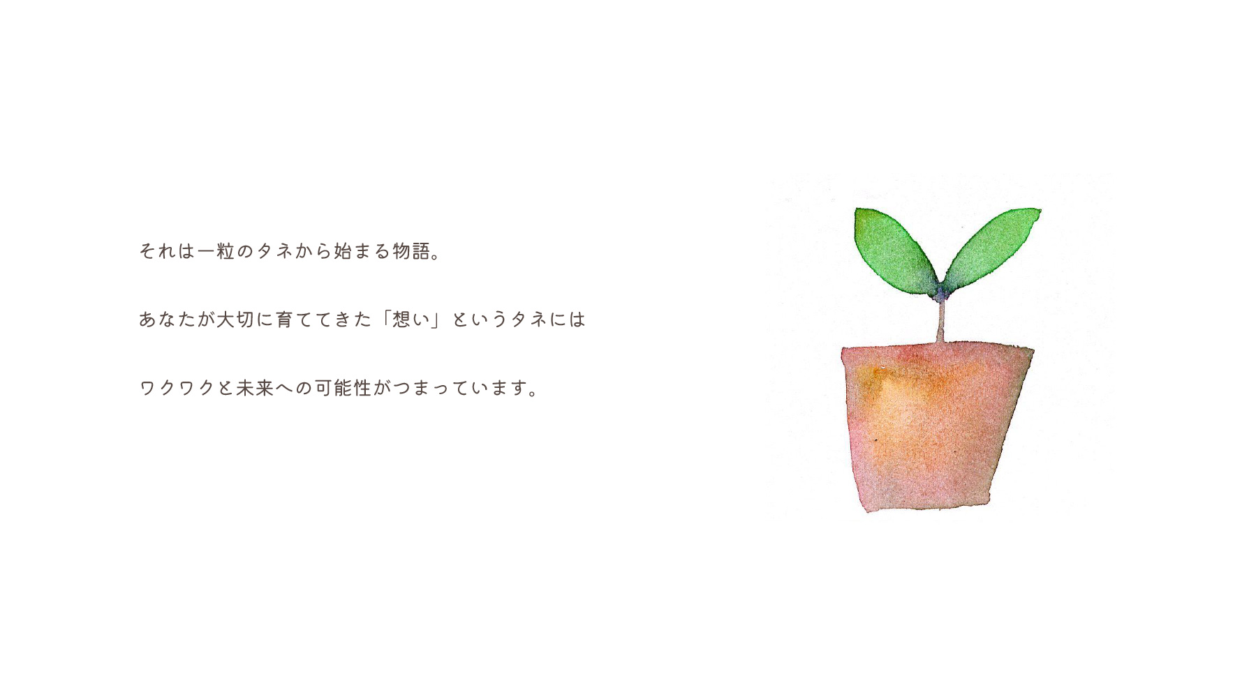 コンセプトページ1
