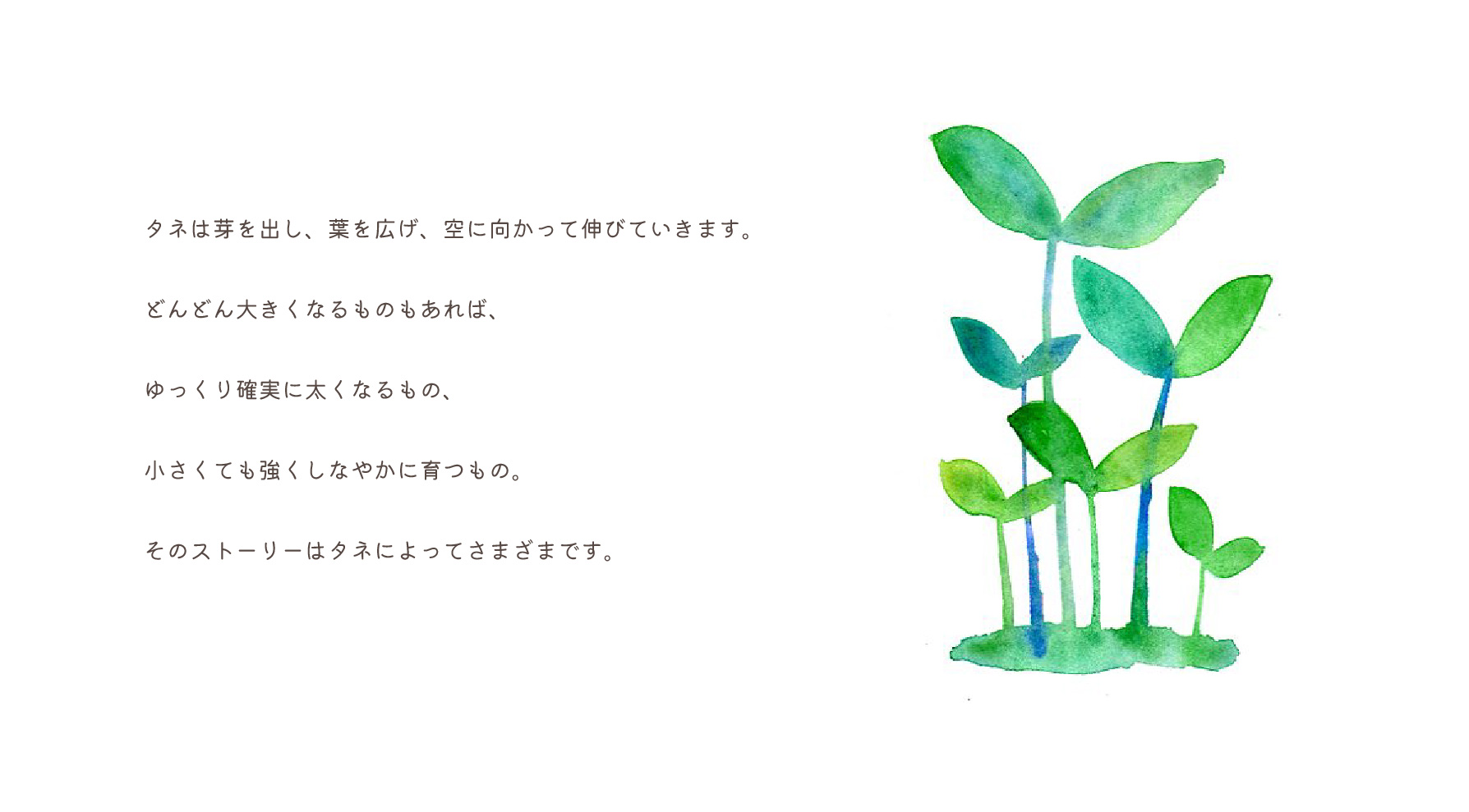 コンセプトページ2